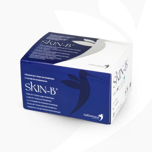 Skin B